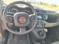 Usata Fiat Panda 4x4 86 CV (63 kW) 2013 Verde Utilitaria