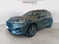 Usata Ford Kuga ST-Line 225 CV (165 kW) 2023 Grigio SUV