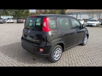 usata Fiat Panda 1.0 FireFly S&S Hybrid nuova a Massarosa