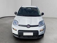 Usata Fiat Panda S 69 CV (50 kW) 2024 Bianco Berlina