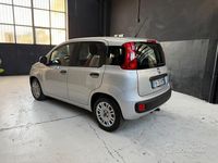 Usata Fiat Panda Lounge 69 CV (50 kW) 2017 Grigio Utilitaria