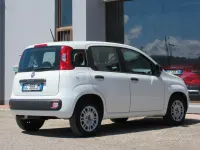 Usata Fiat Panda Easy 69 CV (50 kW) 2020 Bianco Utilitaria