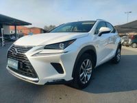 Usata Lexus NX300h Business Edition 155 CV (114 kW) 2019 Perlato SUV