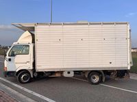 Usata Nissan Cabstar 125 CV (91 kW) 2006 Bianco Pick-up
