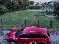 Usata Fiat Freemont 170 CV (125 kW) 2014 Rosso SUV