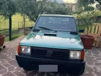 Usata Fiat Panda Trekking 54 CV (39 kW) 2000 Verde Berlina