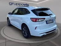 Usata Ford Kuga ST-Line X 225 CV (165 kW) 2023 SUV