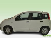 Usata Fiat Panda 70 CV (51 kW) 2021 Bianco Utilitaria