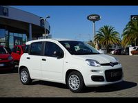Usata Fiat Panda 70 CV (51 kW) 2024 Bianco divino Utilitaria
