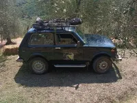 Usata Lada niva 80 CV (58 kW) 2009 Verde SUV