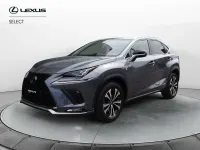 Usata Lexus NX300h Sport Line 197 CV (144 kW) 2019 Grigio SUV