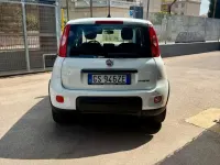 Usata Fiat Panda S 69 CV (50 kW) 2024 Bianco Utilitaria