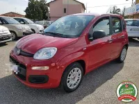 Usata Fiat Panda Lounge 69 CV (50 kW) 2016 Rosso Utilitaria