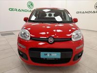 usata Fiat Panda 1.2 Easy del 2018 usata a Alessandria