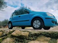 usata Fiat Panda Panda 1.1 Anniversary Eco