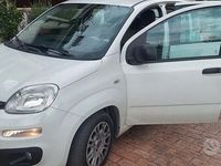 Usata Fiat Panda 80 CV (58 kW) 2016 Bianco Utilitaria
