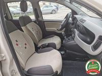 Usata Fiat Panda Easy 2013 Beige Utilitaria