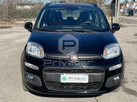Usata Fiat Panda Lounge 69 CV (50 kW) 2019 Nero Utilitaria