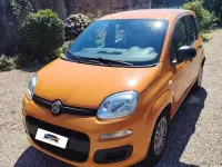Usata Fiat Panda Easy 69 CV (50 kW) 2019 Arancione Utilitaria