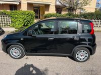 usata Fiat Panda 1.0 hybrid