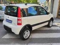 Usata Fiat Panda 4x4 Climbing 69 CV (50 kW) 2008 Bianco pastello Utilitaria