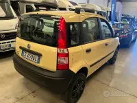 Usata Fiat Panda 4x4 60 CV (44 kW) 2004 Giallo Utilitaria