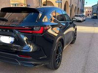 Usata Lexus NX350h 190 CV (139 kW) 2025 SUV