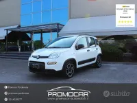 Usata Fiat Panda City Life 69 CV (50 kW) 2022 Bianco Utilitaria