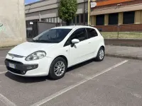 Usata Fiat Punto Evo 77 CV (56 kW) 2011 Utilitaria