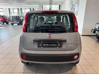 Usata Fiat Panda S 70 CV (51 kW) 2022 Grigio medio Utilitaria