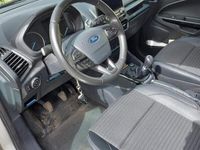usata Ford Ecosport 1.5 TDCi 100 CV Start&Stop Business