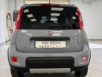 Usata Fiat Panda 4x4 S 95 CV (69 kW) 2018 Grigio Utilitaria
