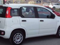 Usata Fiat Panda Easy 69 CV (50 kW) 2019 Bianco Utilitaria
