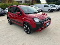 Usata Fiat Panda Cross Cross 69 CV (50 kW) 2024 Rosso Utilitaria
