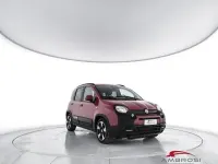 Usata Fiat Panda Cross Cross 69 CV (50 kW) 2025 Rosso Utilitaria