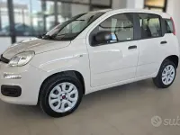 Usata Fiat Panda Easy 86 CV (63 kW) 2017 Beige Utilitaria
