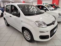 usata Fiat Panda 1.0 70cv FireFly S&S Hybrid - PRONTA CONSEGNA