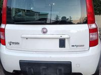 Usata Fiat Panda 52 CV (38 kW) 2008 Bianco Utilitaria