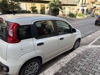 Usata Fiat Panda Lounge 95 CV (69 kW) 2016 Bianco Utilitaria