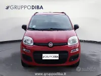 Usata Fiat Panda 85 CV (62 kW) 2013 Rosso Utilitaria