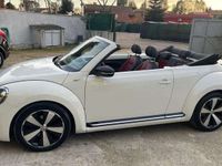 Usata VW Beetle Cabriolet Sportline 140 CV (102 kW) 2013 Bianco Cabrio