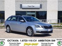 Usata Skoda Octavia Ambition 116 CV (85 kW) 2019 Argento metallizzato Station wagon