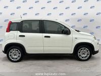 Usata Fiat Panda S 70 CV (51 kW) 2023 Bianco Utilitaria