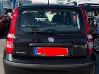 Usata Fiat Panda 2010 Nero Utilitaria