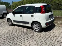 Usata Fiat Panda Easy 69 CV (50 kW) 2018 Bianco Utilitaria