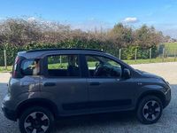 Usata Fiat Panda Cross Cross 85 CV (62 kW) 2021 Grigio Utilitaria