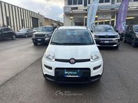 Usata Fiat Panda S 69 CV (50 kW) 2022 Bianco Utilitaria