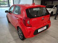 usata Kia Picanto 1.0 12V EcoGPL 5 porte Cool