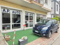Usado Fiat Panda 4x4 S 75 CV (55 kW) 2014 Azul Utilitario