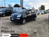Usata Fiat Panda Easy 69 CV (50 kW) 2020 Blu Utilitaria